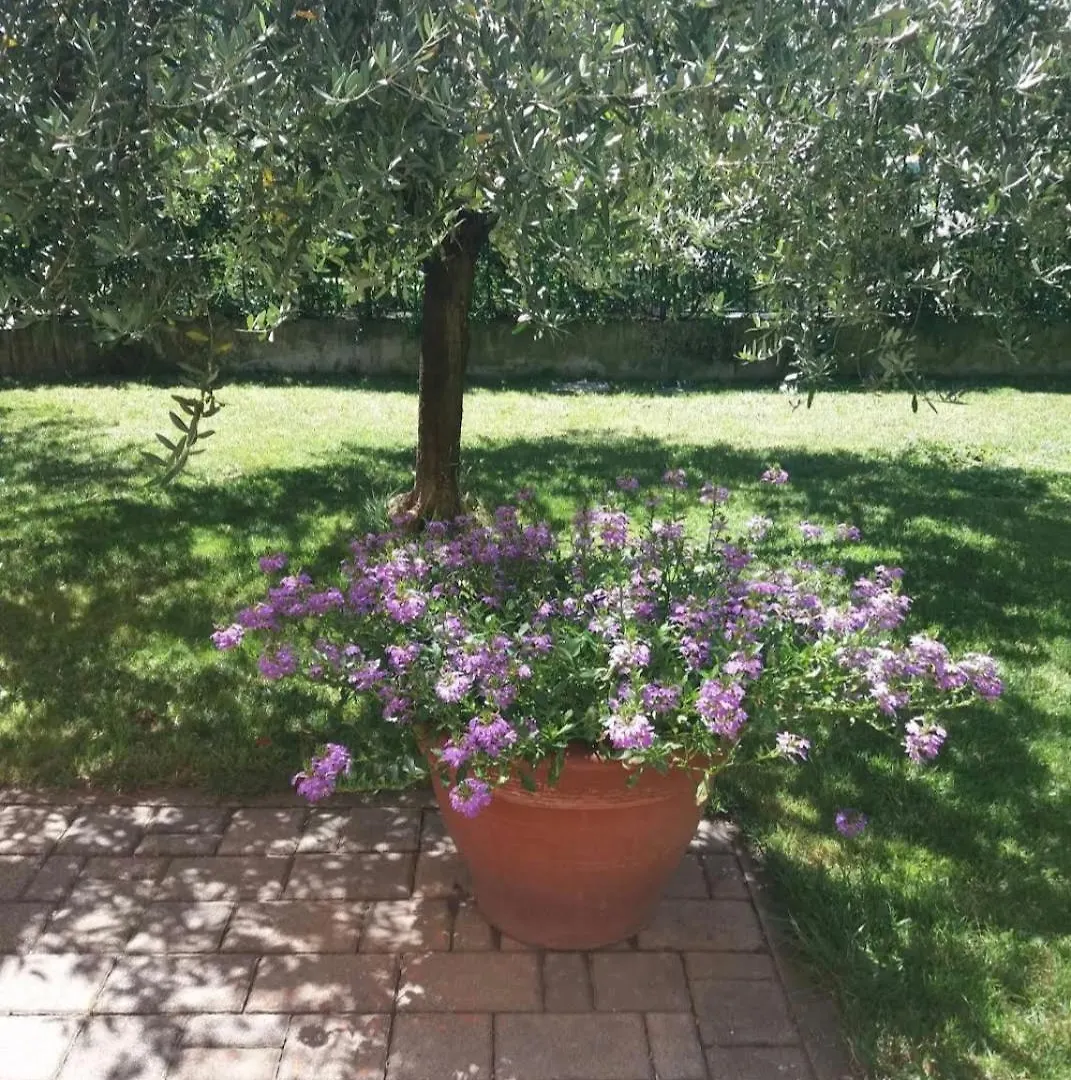 Apartment I Quattro Ulivi - Iseo Lake Marone